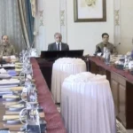PM praises provinces’ support in tackling economic challenges at NEC meeting